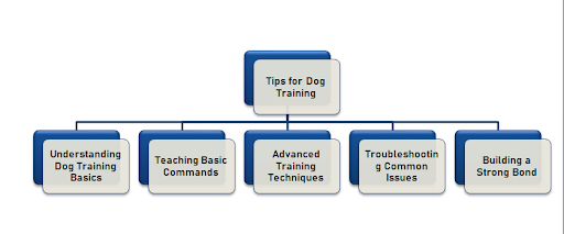 Types of Enhanced Assessment Methods 